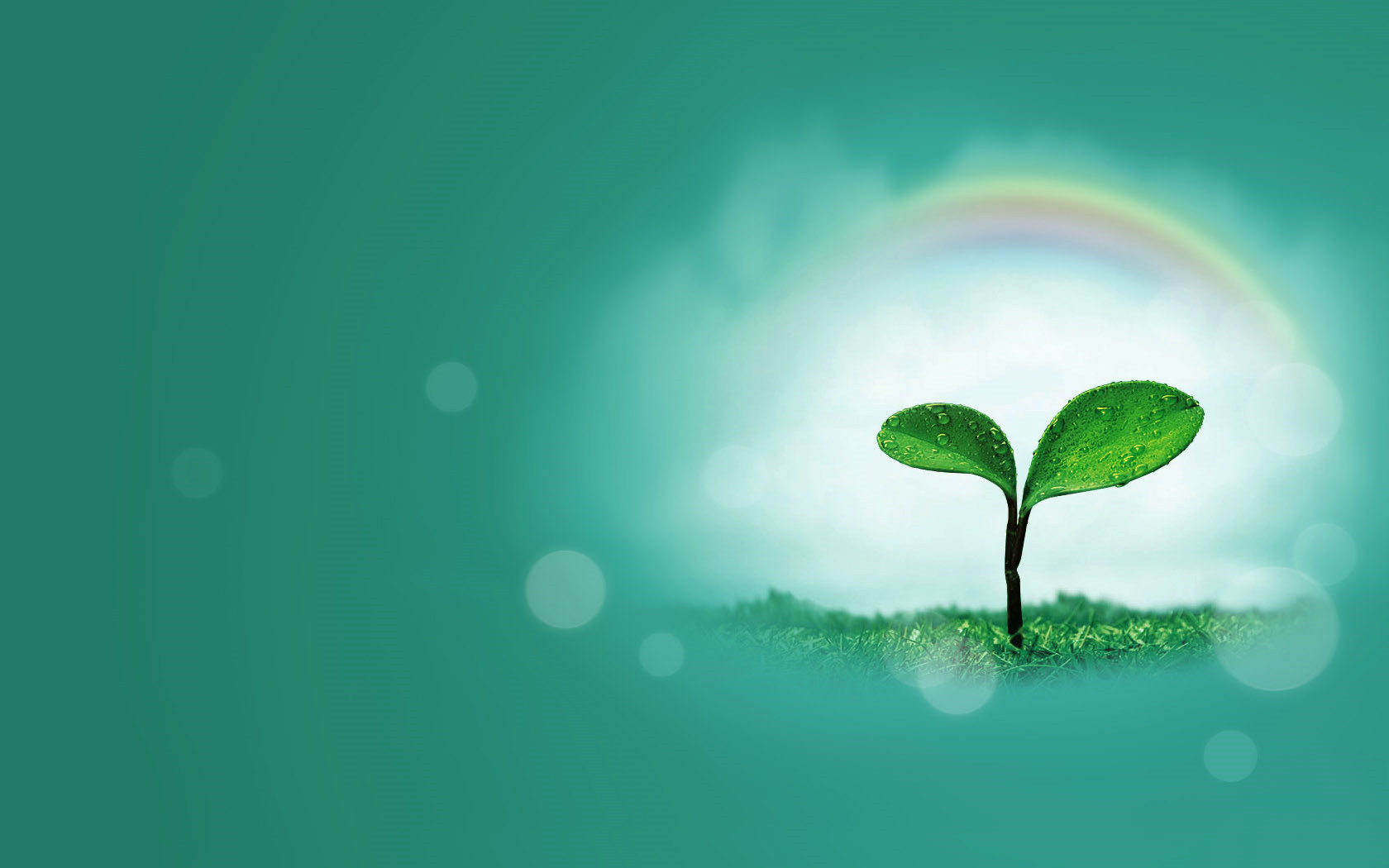 中年讀雪（組詩）